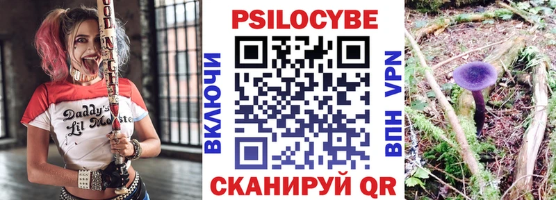 Псилоцибиновые грибы MAGIC MUSHROOMS  Купить закладки  Сурск 